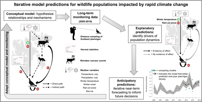 Understanding and predicting how climate change impacts Svalbard ptarmigan population dynamics